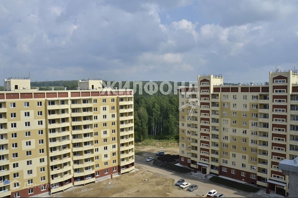 квартира р-н Новосибирский п Каинская Заимка фото 2