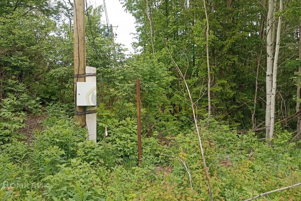 земля городской округ Ревда, СНТ Заря-5 фото 1