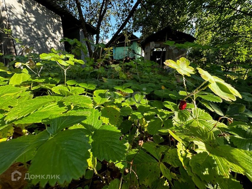 дом г Краснодар р-н Прикубанский снт Зиповчанка ул Ромашковая 245/7 фото 10