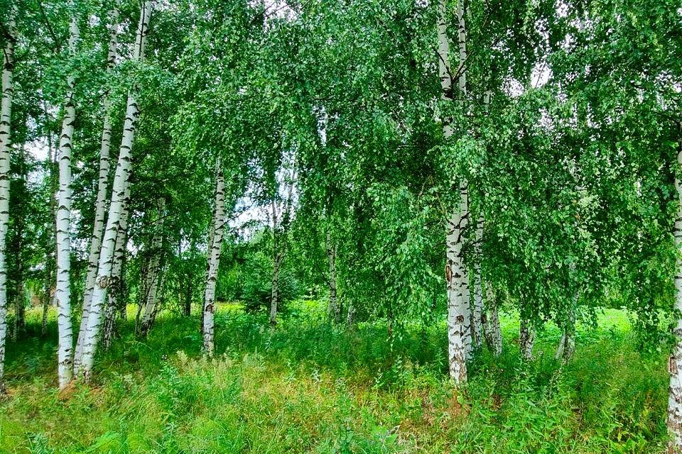 земля городской округ Одинцовский с Лайково фото 3