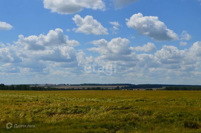 с Хотылево ул Советская фото