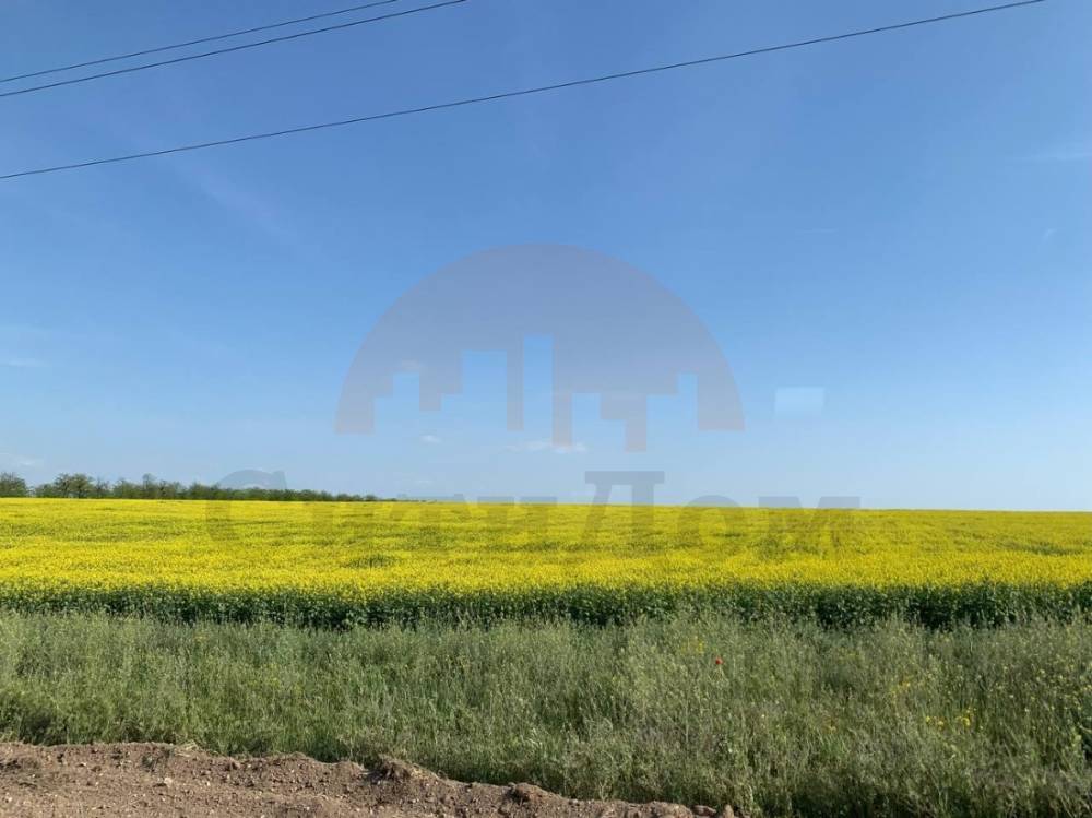 земля р-н Сакский с Лесновка ул Садовая фото 1