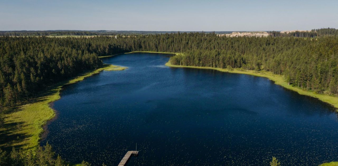 земля р-н Выборгский п Первомайское пос, Сабур-3 СНТ, 24 фото 5