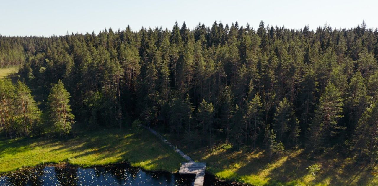 земля р-н Выборгский п Первомайское пос, Сабур-3 СНТ, 24 фото 31