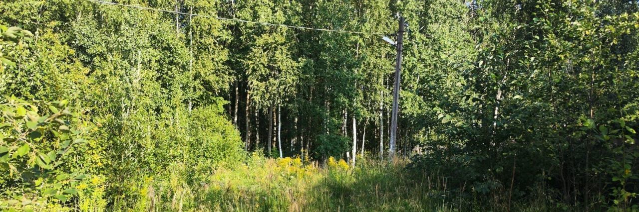 земля г Павловск снт Павловское-1 метро Купчино 632 фото 9