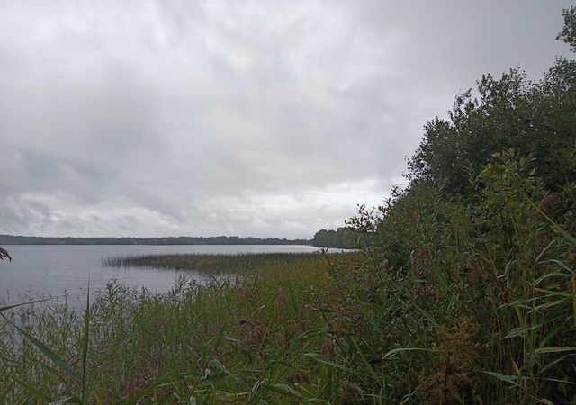 Турбинное сельское поселение, озеро Боровно фото