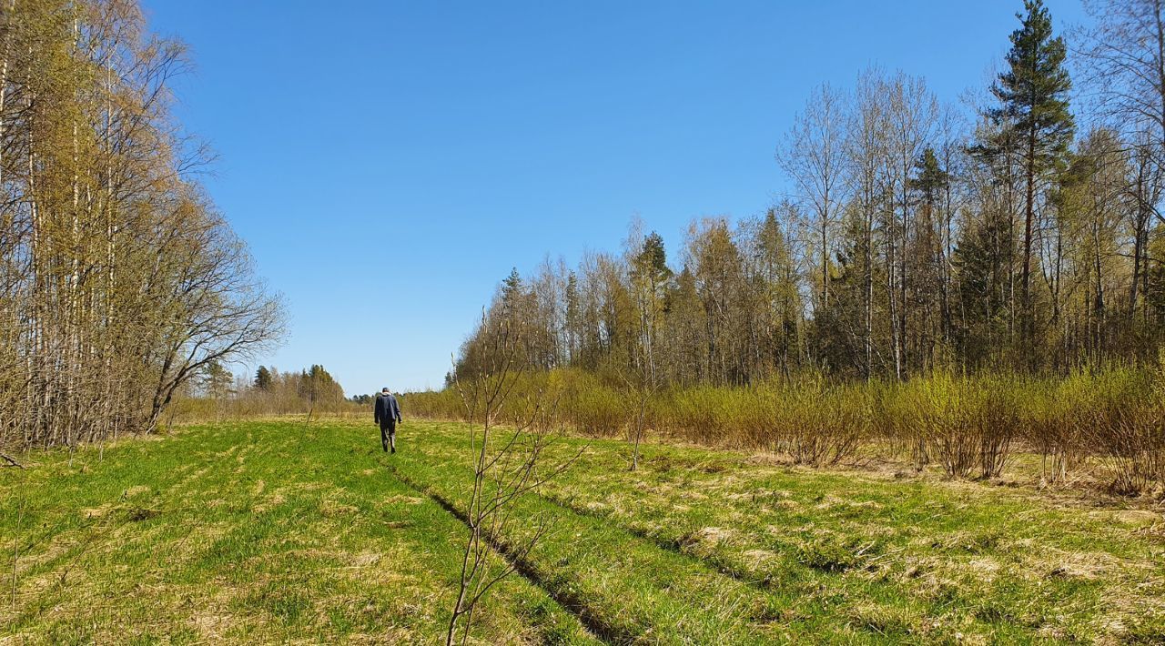 офис р-н Пряжинский д Киндасово Пряжинское городское поселение фото 6