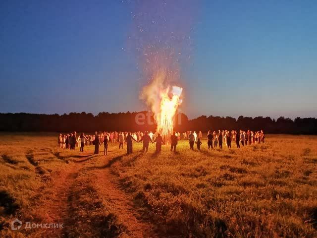 земля р-н Муромцевский фото 2