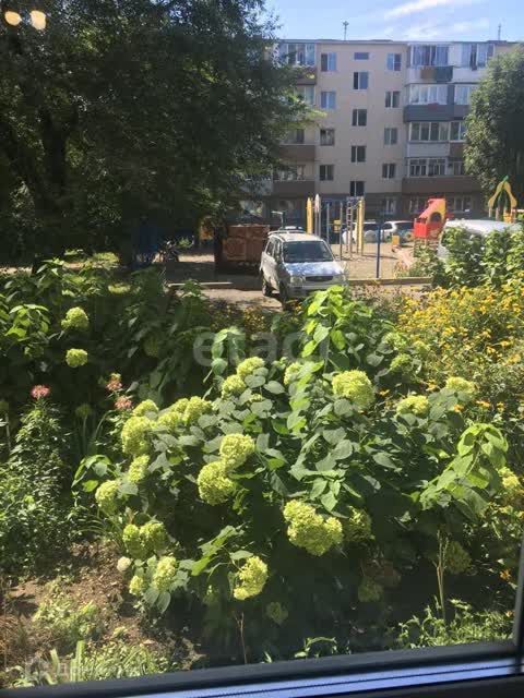 квартира г Владивосток пр-кт 100-летия Владивостока 60а Владивостокский городской округ фото 8