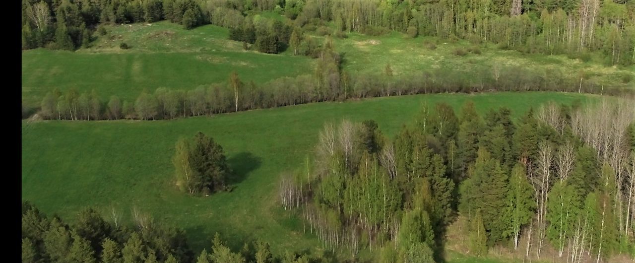 земля г Сортавала п Риеккалансари Сортавальский р-н, Сортавальское городское поселение, остров фото 13