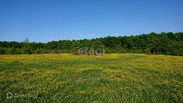 земля г Горячий Ключ ул Революции городской округ Горячий Ключ фото 1