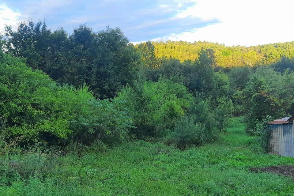 земля г Благовещенск СТ Падь Горбуниха, городской округ Благовещенск фото 3