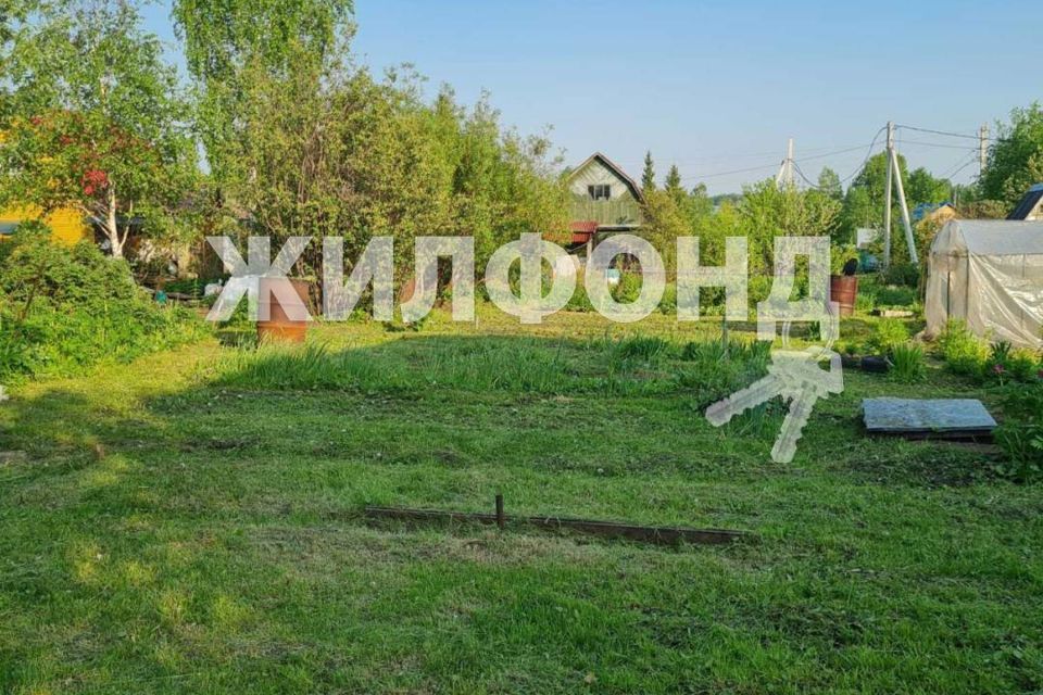 дом р-н Новосибирский садовое товарищество Яблоневый Сад № 1, улица Центральная аллея фото 5