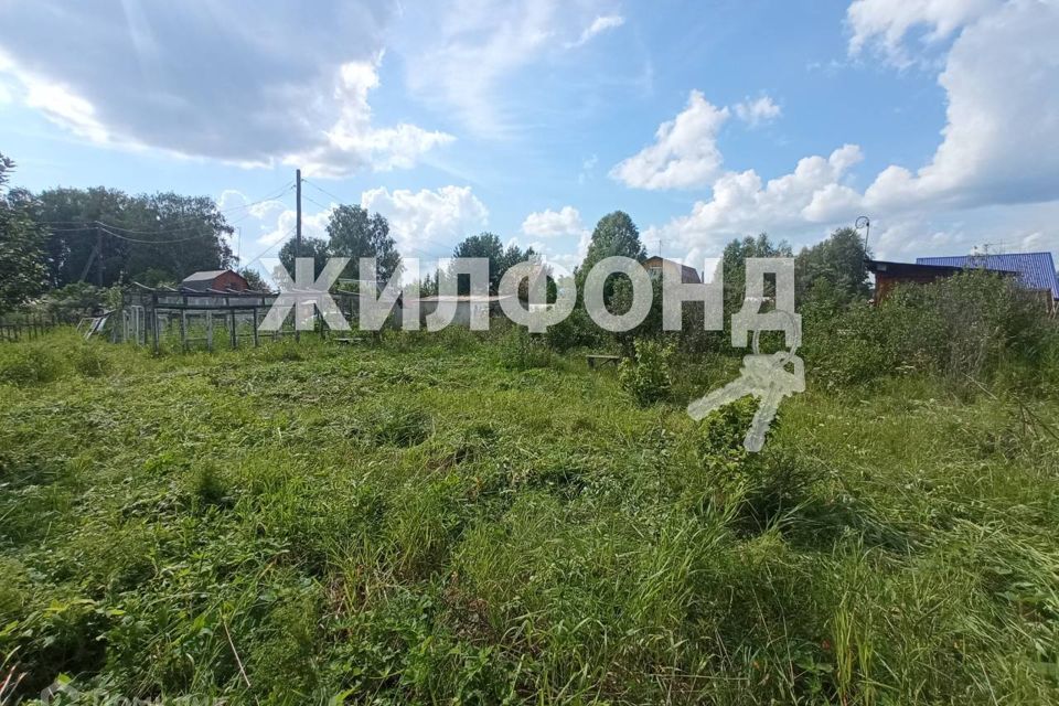 земля р-н Тогучинский поселок Боровушка фото 7