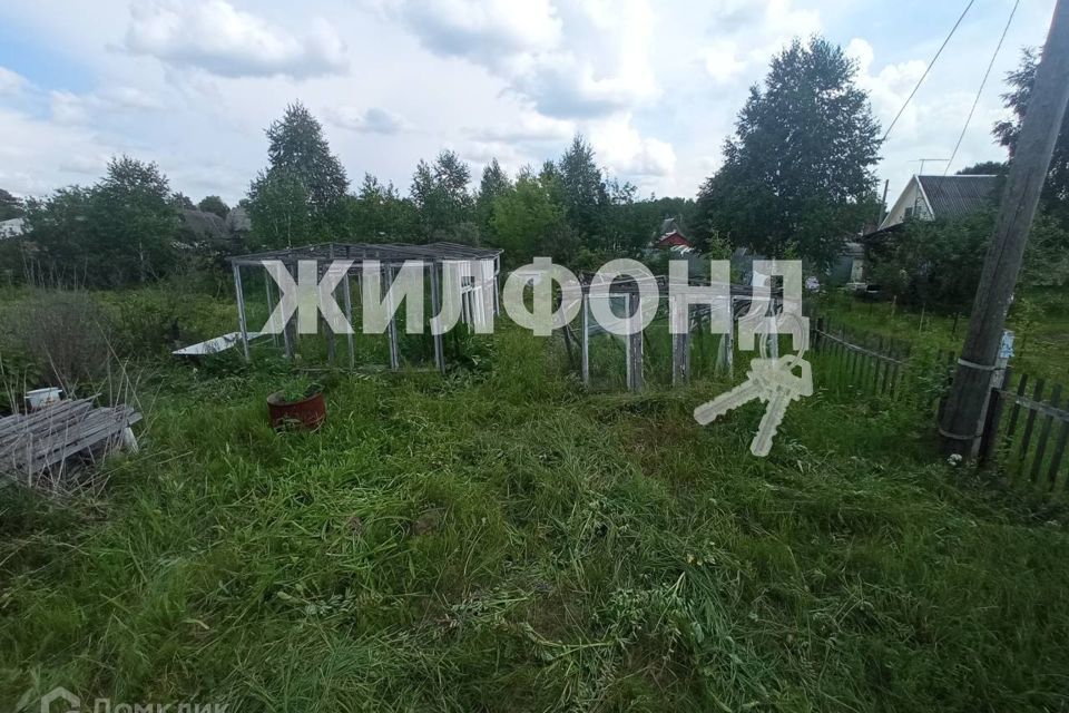 земля р-н Тогучинский поселок Боровушка фото 8