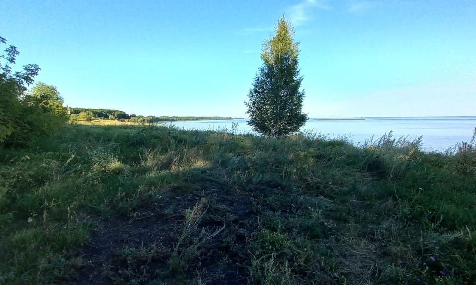 земля р-н Камско-Устьинский посёлок городского типа Куйбышевский Затон фото 3