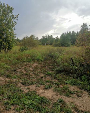 Дзержинское сельское поселение, Луга фото