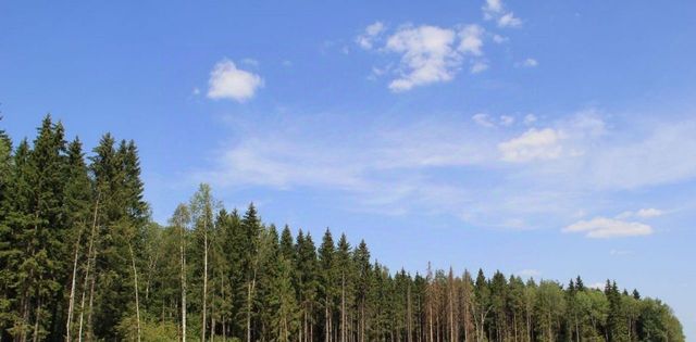 Маклино с пос фото Маклино с пос фото