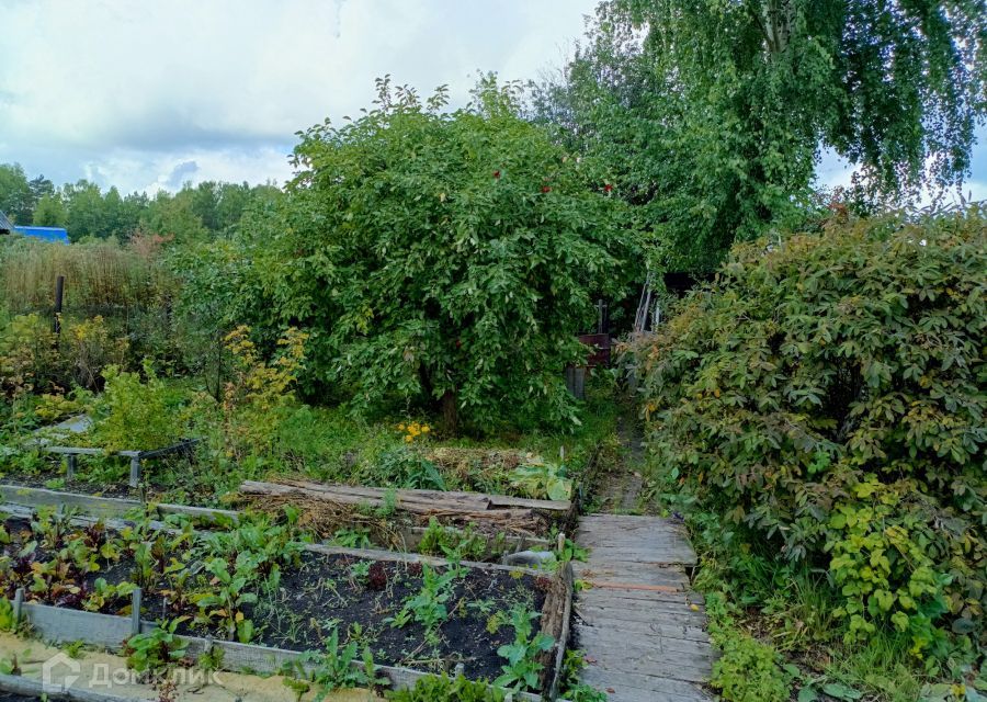 земля р-н Емельяновский 63, садоводческое некоммерческое товарищество Таёжный-4 фото 8