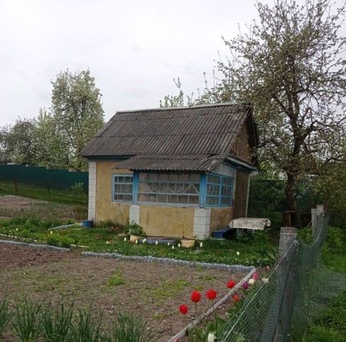 снт Мичуринец-1 54, садоводческое товарищество фото