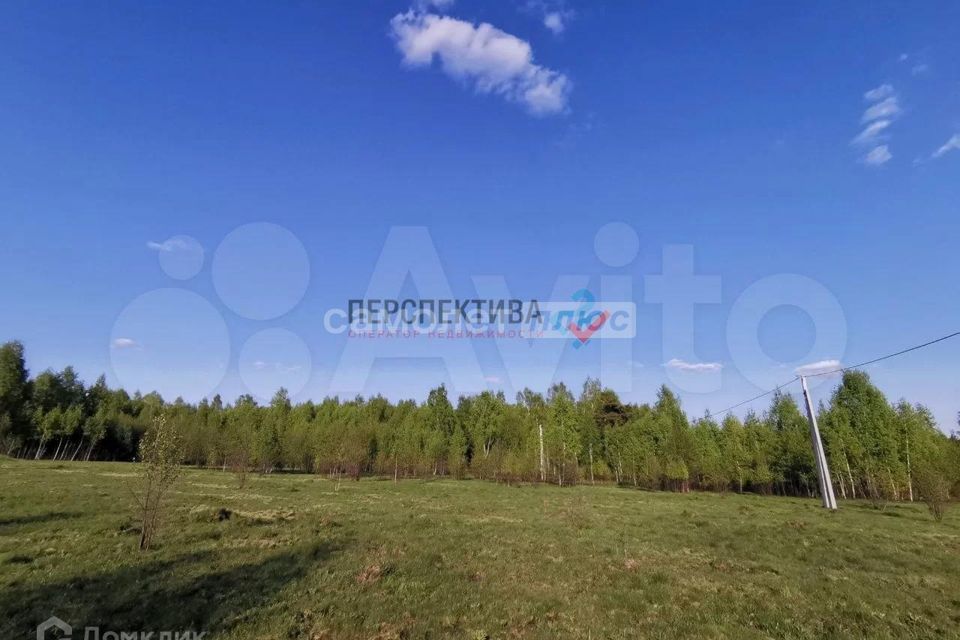 земля г Калуга с Рябинки городской округ Калуга, 8 фото 4