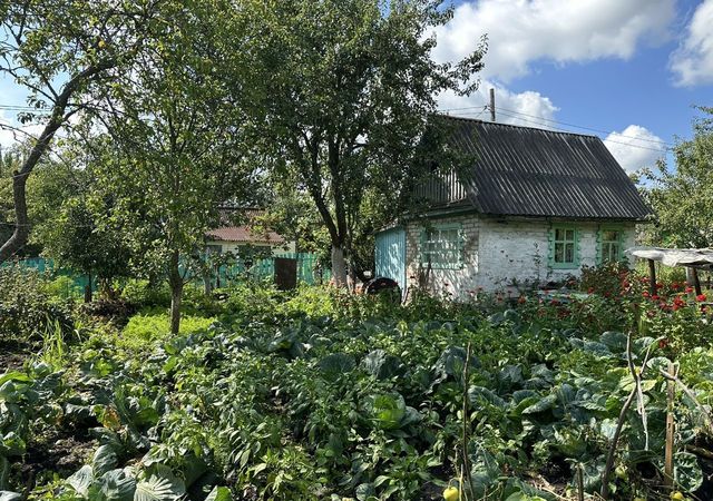 снт Строитель сельсовет, Железногорск, Михайловский фото