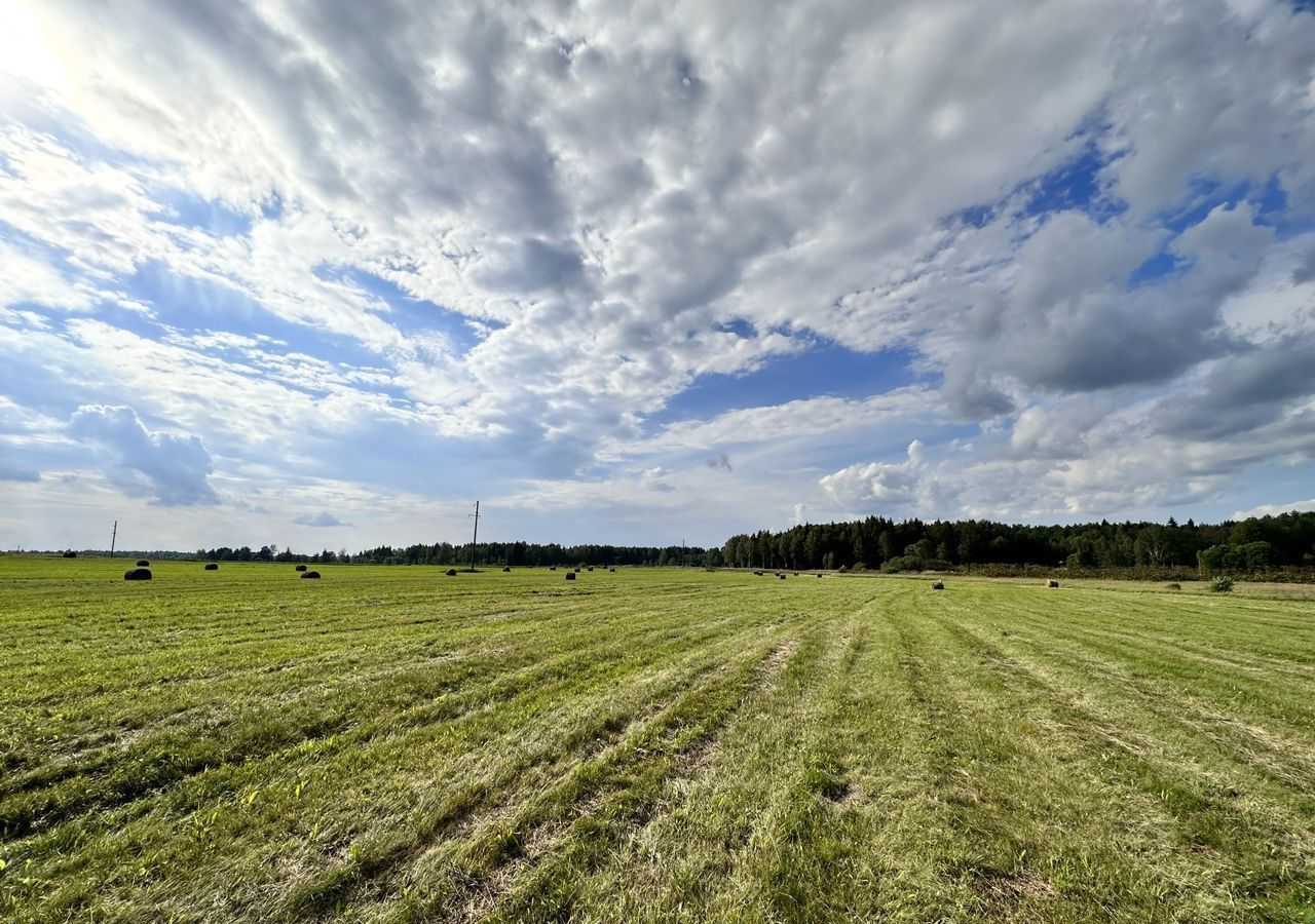 Продам земля сельхозназначения в городе Вязьме в районе Вяземском  Кайдаковское сельское поселение 3180.0 сот 6000000 руб база Олан ру  объявление 100461377