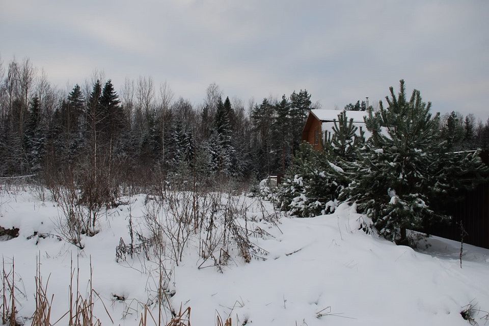 Ижс кировск. Еловый Бор коттеджный поселок. Поселок еловый. Еловые боры.