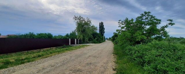 Старобжегокайское сельское поселение, Краснодарский край, Краснодар фото