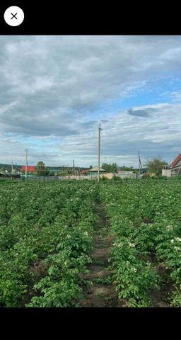 с Репьево ул М.Баркова Репьёвский сельсовет, Сокур фото