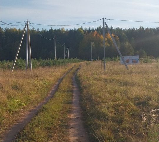 земля деревня Стрелковы фото