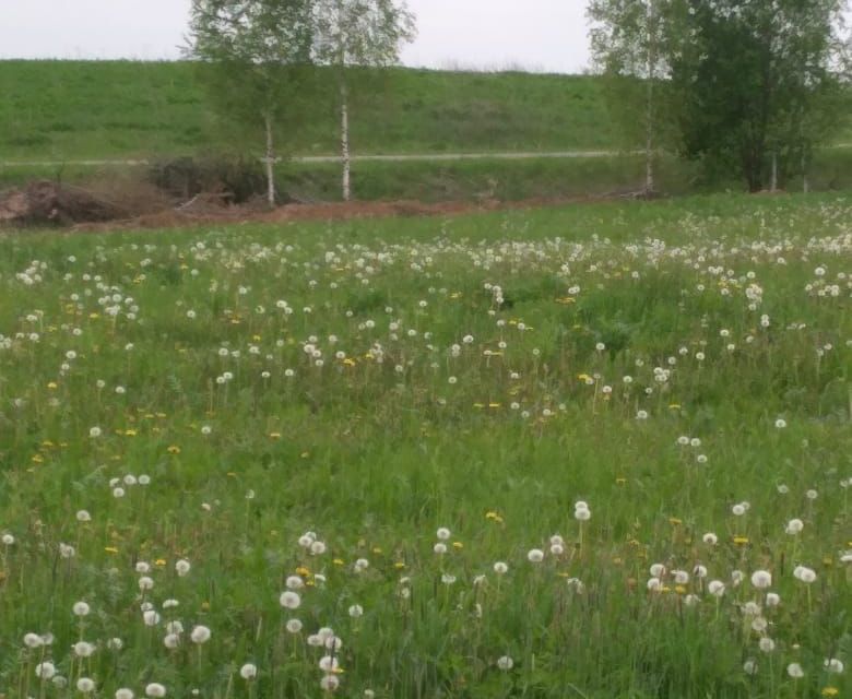 земля городской округ Переславль-Залесский, село Воронцово фото 3