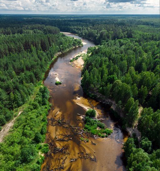 земля г Бор сельский пос. Рустай, Вишёнская ул., 5, Семенов фото 6