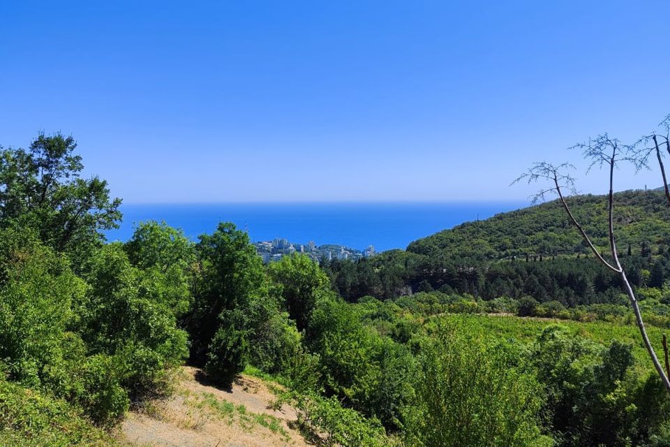 земля г Алушта с Нижнее Запрудное ул Виноградная городской округ Алушта фото 2