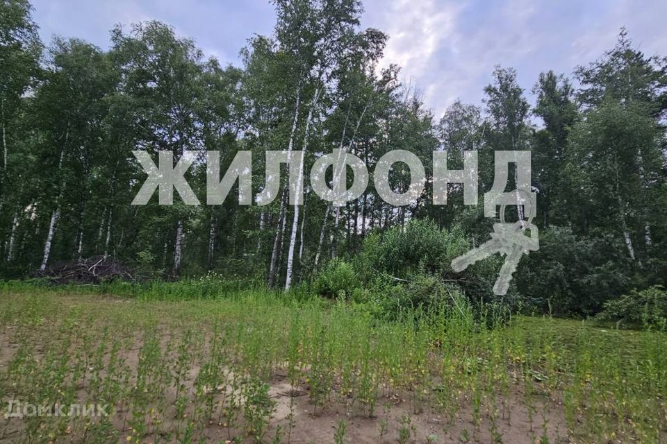 земля г Новосибирск СНТ Сибиряк, городской округ Новосибирск фото 4