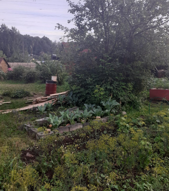 земля г Новосибирск снт Сибирский авиатор 195, городской округ Новосибирск фото 3