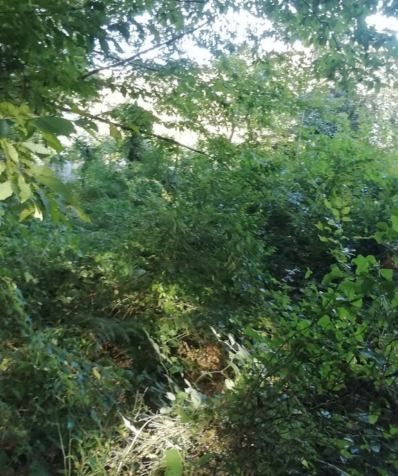 земля г Сочи с Пластунка садоводческое товарищество Озёрное фото 6