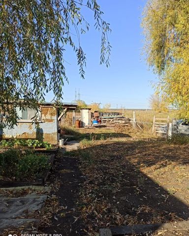 муниципальное образование Заинск фото