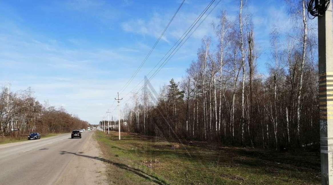 офис р-н Рамонский с Хвощеватка пос, Новоживотинновское с фото 2