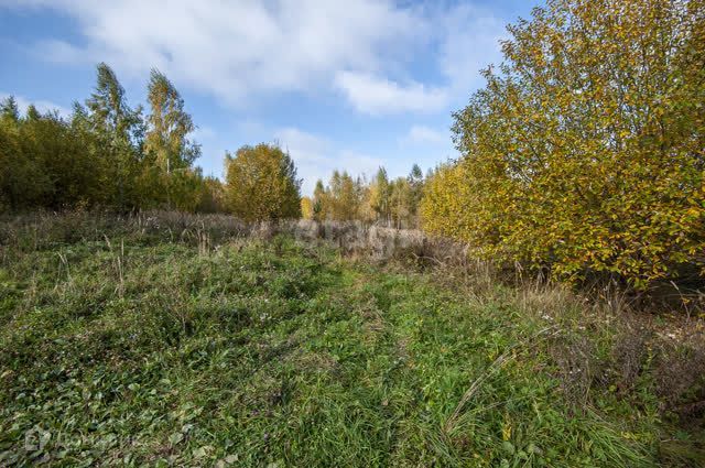 земля г Нижний Новгород городской округ Нижний Новгород, товарищество собственников жилья Ригель фото 3