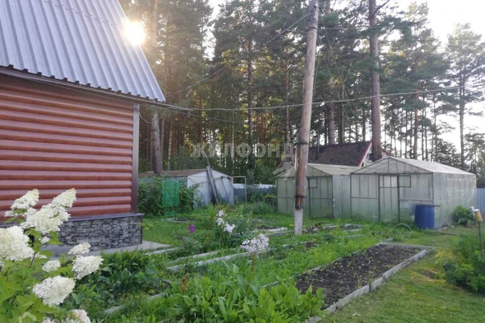 дом р-н Мошковский садоводческое некоммерческое товарищество Парус фото 5