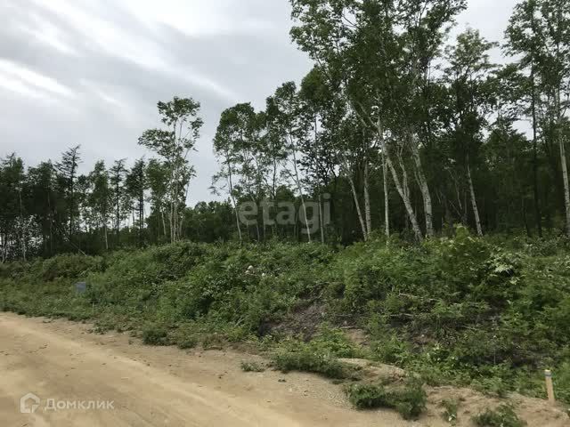 земля г Южно-Сахалинск городской округ Южно-Сахалинск, СНТ Изыскатель фото 1