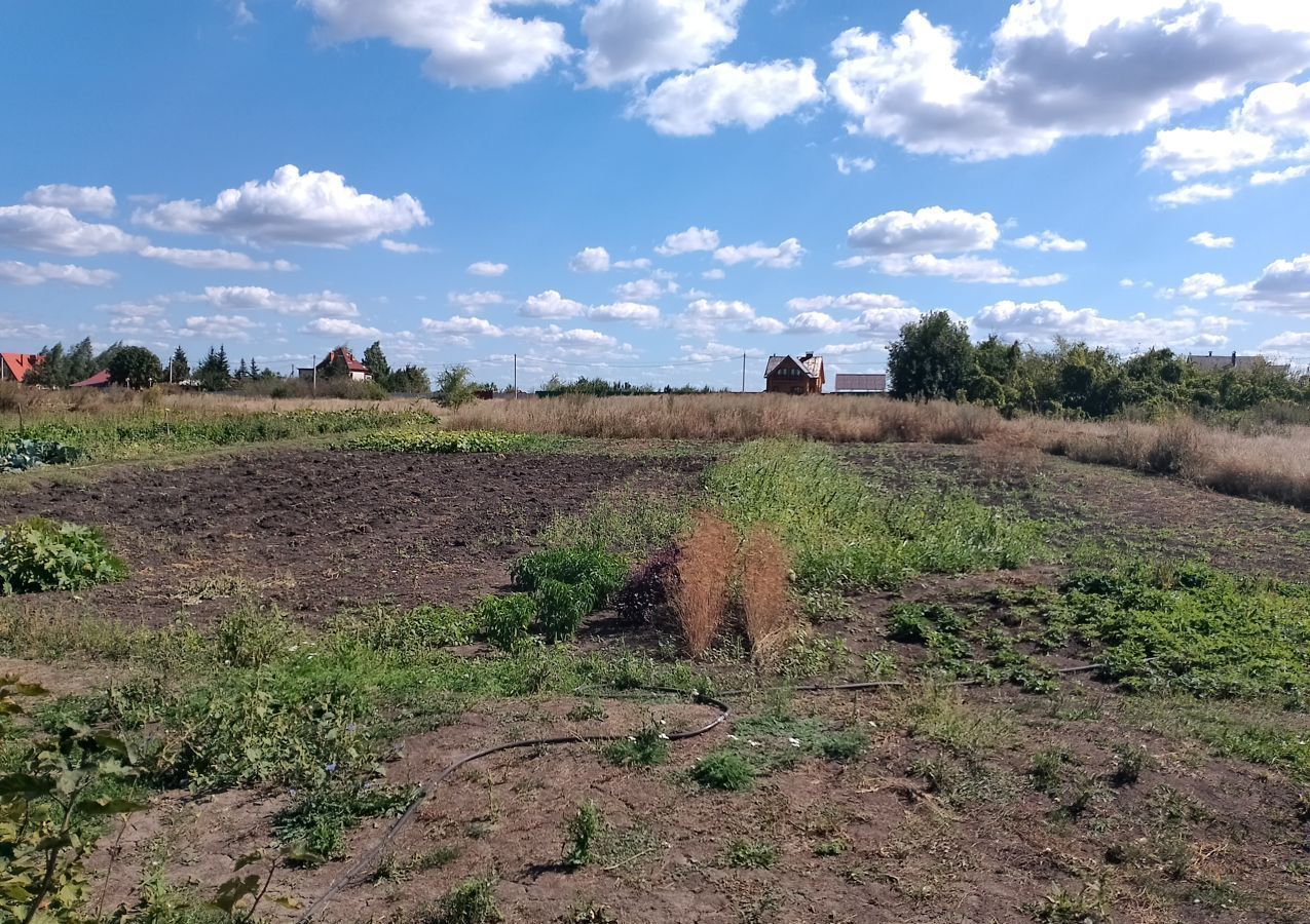 дом р-н Бобровский с Шишовка ул 40 лет Октября 64 Слобода, Шишовское сельское поселение фото 10