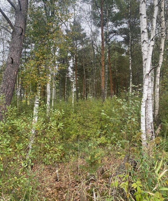 земля городской округ Талдомский д Приветино ул Олимпийская фото 9