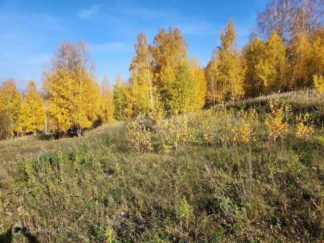 земля г Миасс городской округ Миасс, посёлок Восточный фото 2