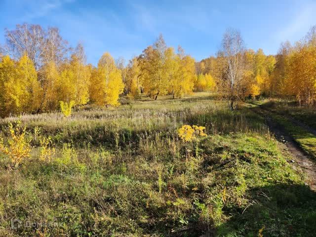 земля г Миасс городской округ Миасс, посёлок Восточный фото 6