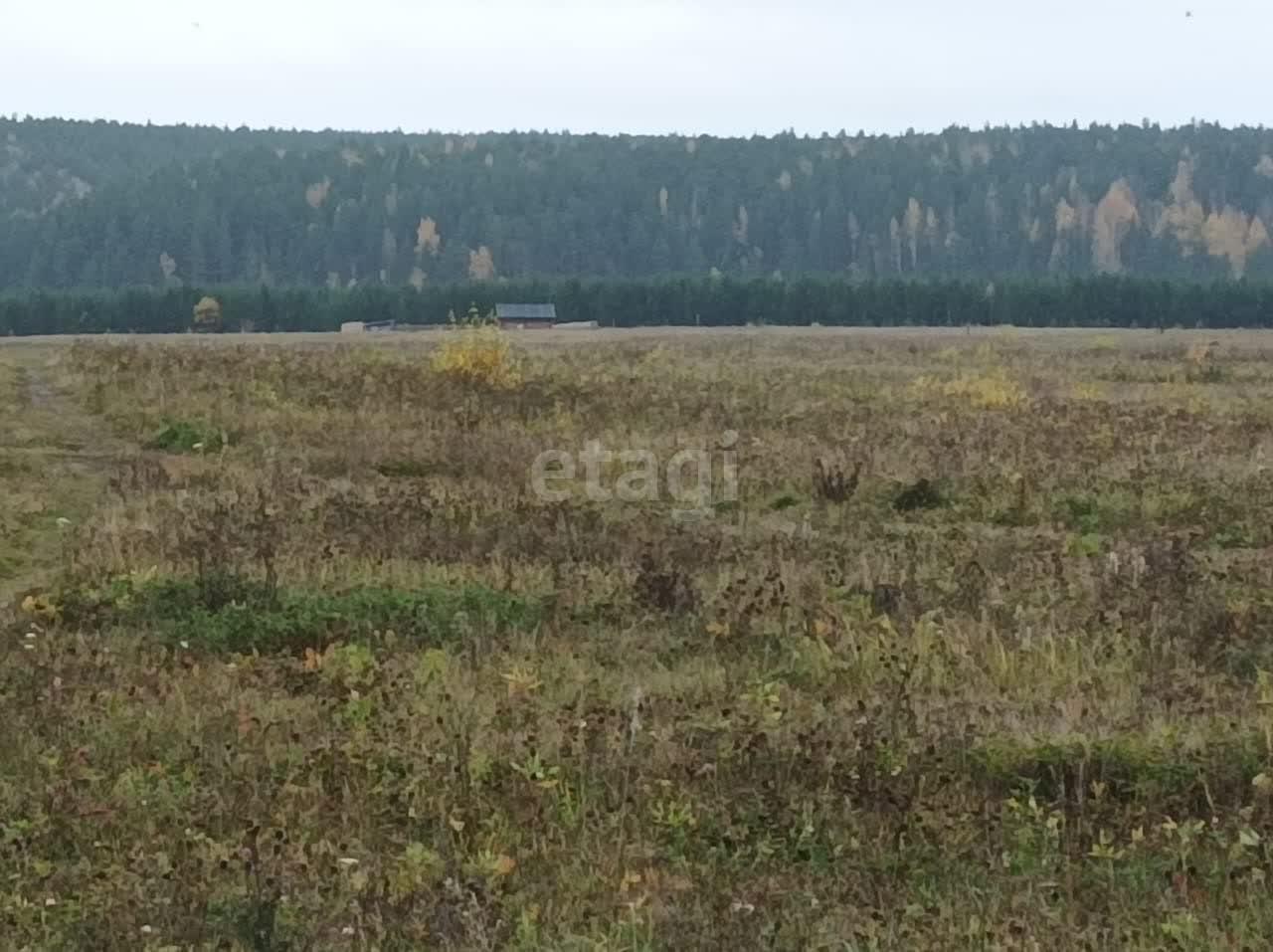 земля г Алапаевск ул Старых Большевиков фото 5