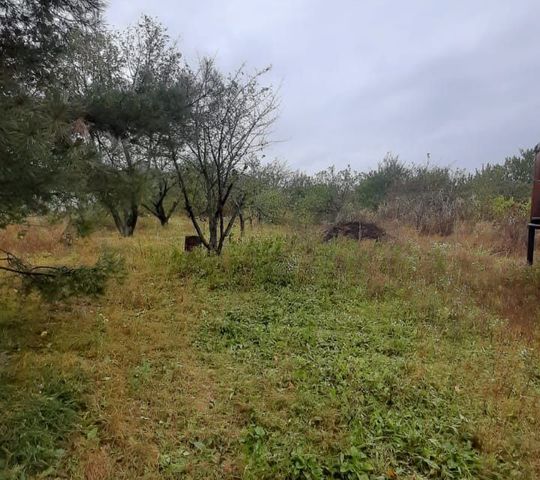 городской округ Ростов-на-Дону, садовое товарищество Урожай фото