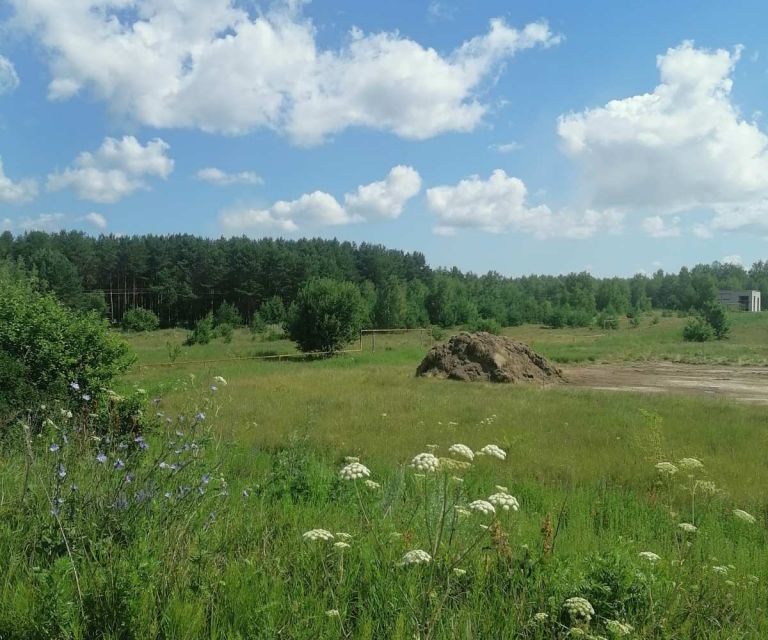 земля р-н Павловский г Павлово ул Марачево-1 фото 4