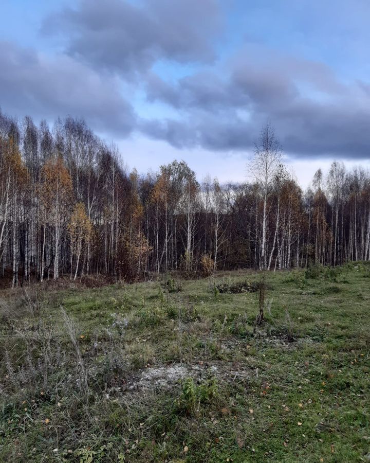 земля г Миасс п Тыелга ул Центральная Карабаш, Миасский г. о. фото 2